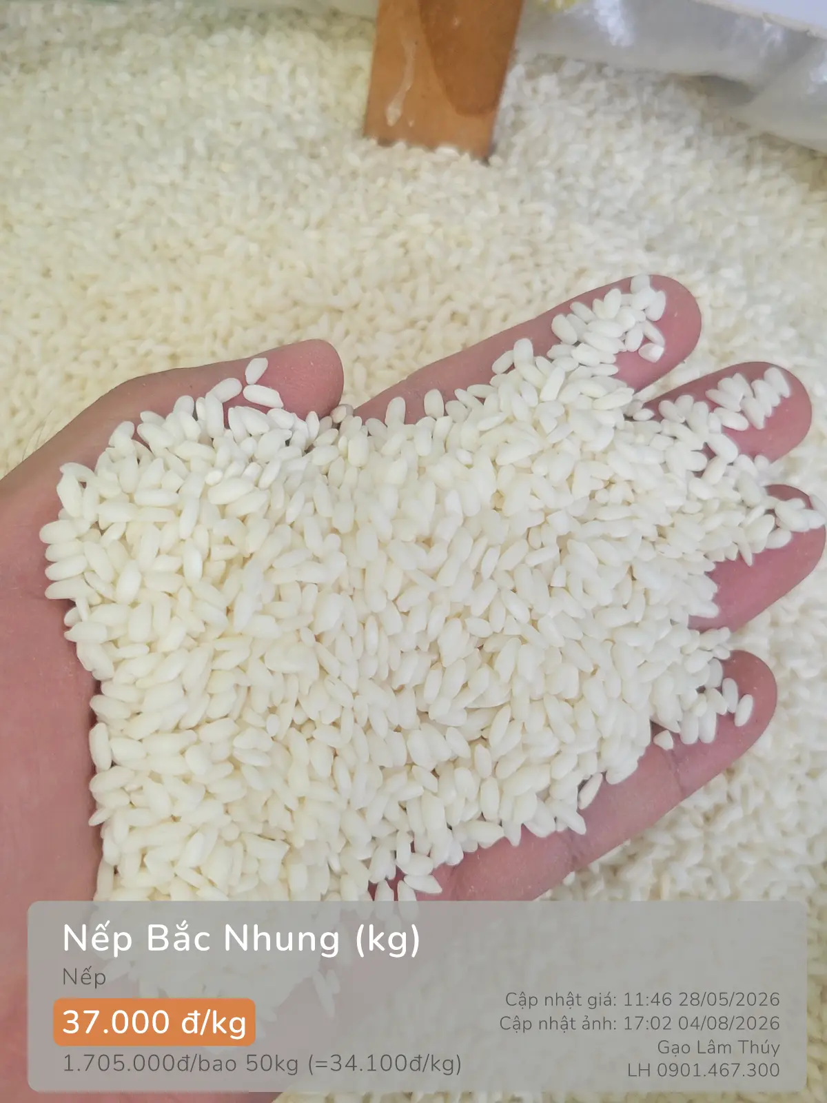 Nếp Bắc Nhung