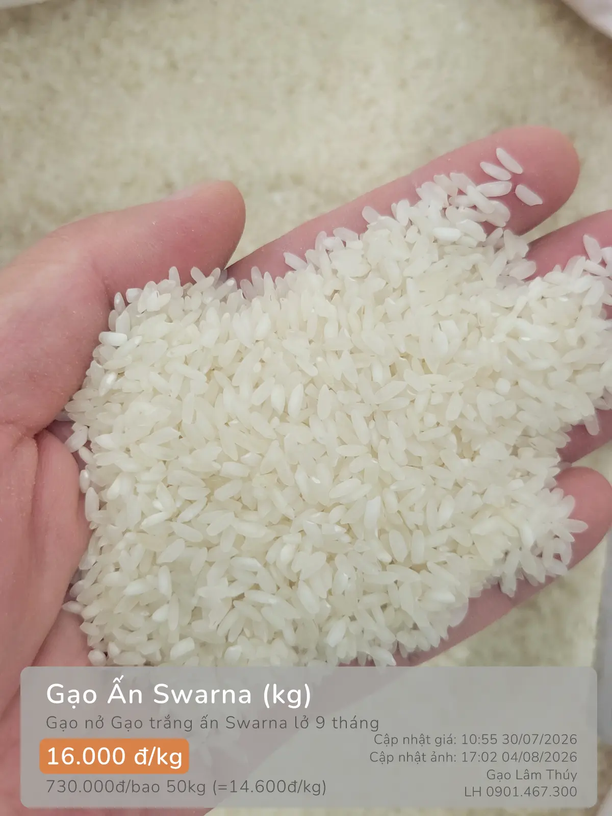 Gạo Ấn Swarna