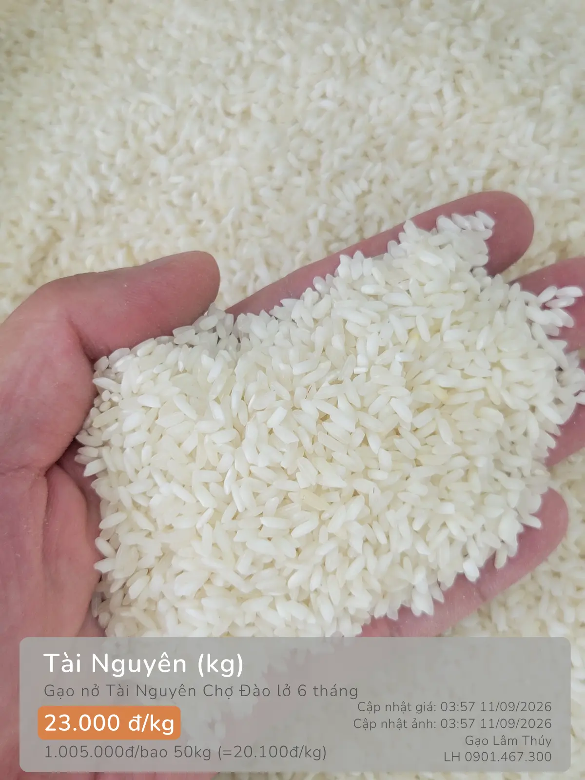 Tài Nguyên