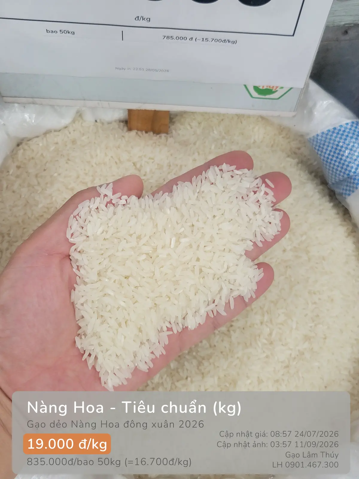 Nàng Hoa - Tiêu chuẩn