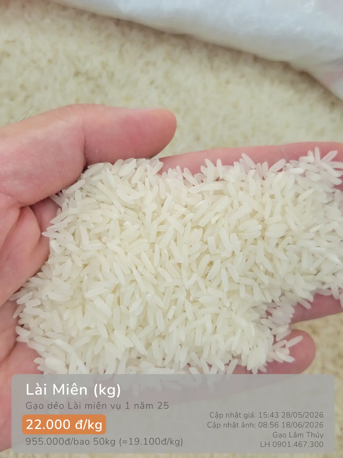 Lài Miên