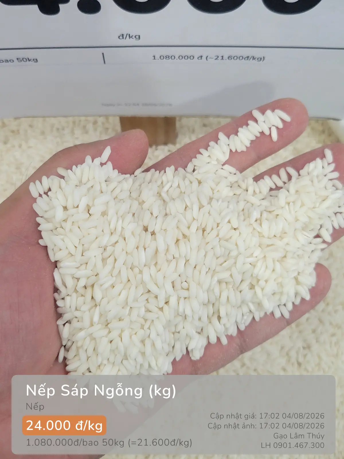 Nếp Sáp Ngỗng