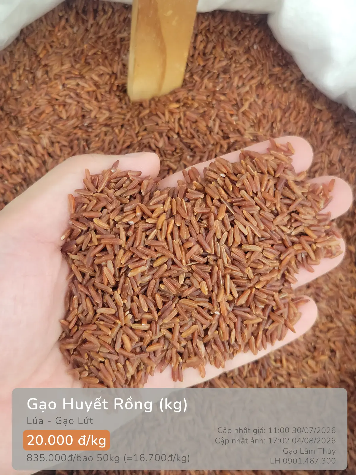 Gạo Huyết Rồng